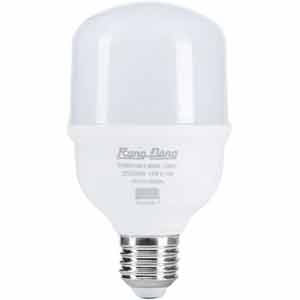 Đèn LED bulb trụ 30W Rạng Đông TR70N1/14W E27 6500K SS