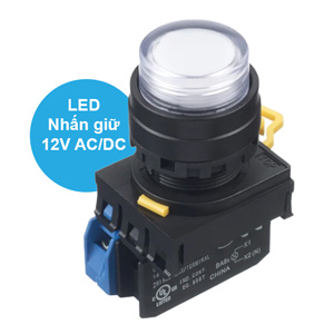 Nút ấn IDEC YW1L-A2E10Q3PW .