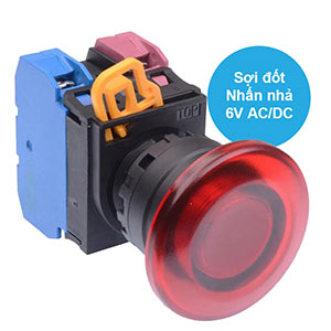 Nút nhấn nhả có đèn IDEC YW1L-M4E11Q5R 6VAC/DC D22 1NO+1NC (Đỏ)