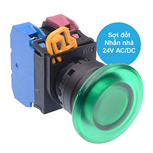 Nút nhấn nhả có đèn IDEC YW1L-M4E11Q7G 24VAC/DC D22 1NO+1NC (Xanh)