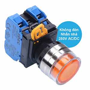 Nút nhấn nhả IDEC YW4L-MF2E20Q0A D22 2NO (Hổ phách)