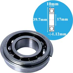 Vòng bi cầu thông thường NSK 6003NR