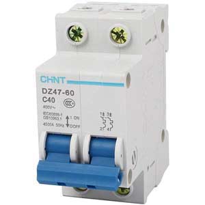 Aptomat cài (MCB) CHINT DZ47-60 C40-2P-4.5kA