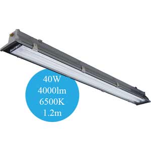 Đèn LED Paragon PIFK236L36 (6500K) 40W, 4000lm, 1.2m