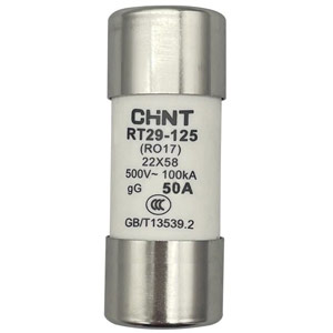 Cầu chì hình ống CHINT RT29-125 50A gG/gL