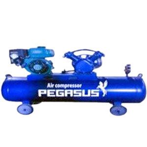 Máy nén khí 100 lít 3HP PEGASUS TM-V-0.25/8-100L