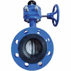 Van bướm mặt bích WONIL WFG-10-80A