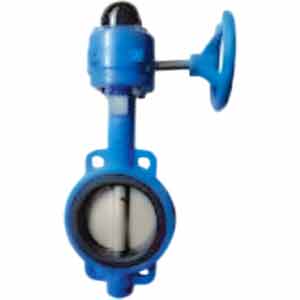 Van bướm đệm cao su loại wafer (10K) WONIL WSBG-10-80A