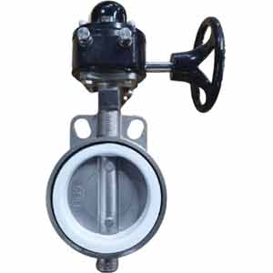 Van bướm đệm cao su loại wafer (16K/20K) WONIL WSBG-16-80A