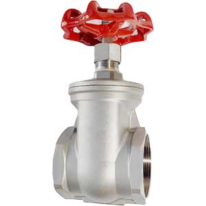 Van cửa inox 304 loại ren CHINA VCR-304-DN80