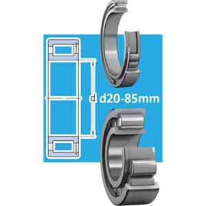 Ổ đũa một dãy đầy đủ d20-85mm SKF NJG 2315 VH