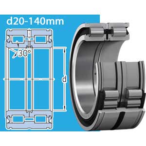 Ổ đũa hai dãy không vòng cách kiểu NNF làm kín tái bôi trơn d20-140mm SKF NNF 5009 ADB-2LSV