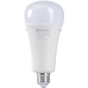 Bóng đèn chiếu sáng 