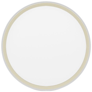 Đèn LED ốp trần đổi màu 40W Rạng Đông LN28 ĐM 400/40W